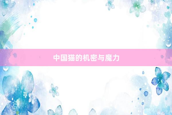 中国猫的机密与魔力