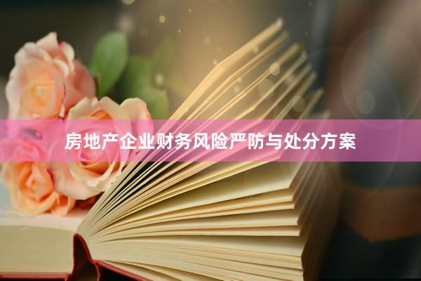 房地产企业财务风险严防与处分方案